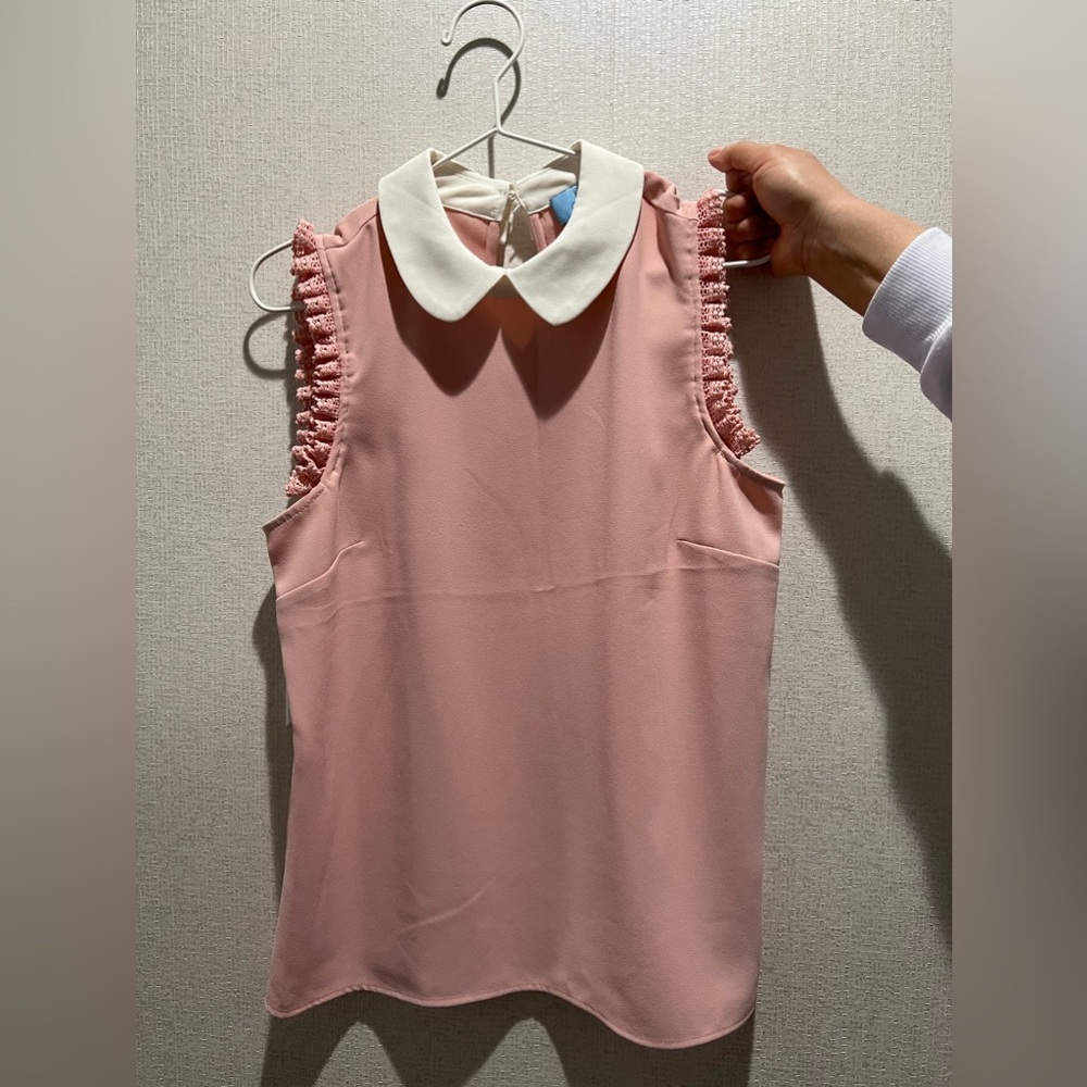 Pink Blouse